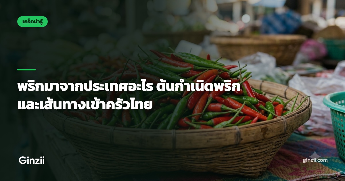 พริกมาจากประเทศอะไร ต้นกำเนิดพริกและเส้นทางเข้าครัวไทย